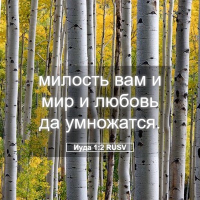 Picture 05 - Иуда 1:2 RUSV - милость вам и мир и любовь - Bible Verse Picture