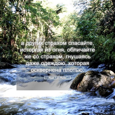 Picture 05 - Иуда 1:23 RUSV - а других страхом спасайте, - Bible Verse Picture