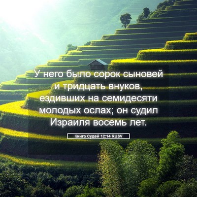 Picture 05 - Книга Судей 12:14 RUSV - У него было сорок сыновей и - Bible Verse Picture