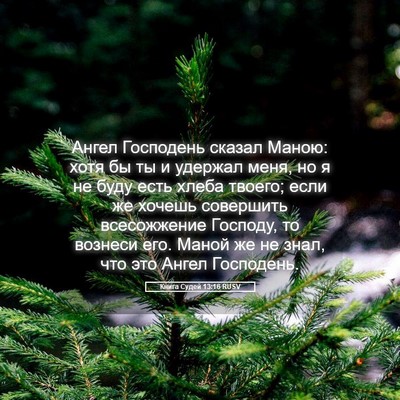 Picture 05 - Книга Судей 13:16 RUSV - Ангел Господень сказал - Bible Verse Picture