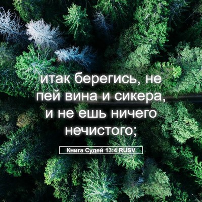 Picture 05 - Книга Судей 13:4 RUSV - итак берегись, не пей вина - Bible Verse Picture