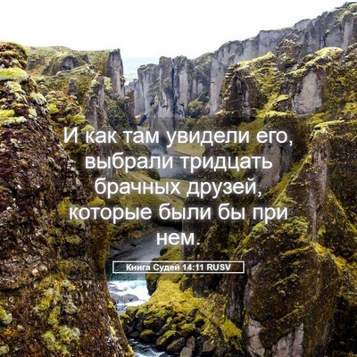 Picture 05 - Книга Судей 14:11 RUSV - И как там увидели его, - Bible Verse Picture