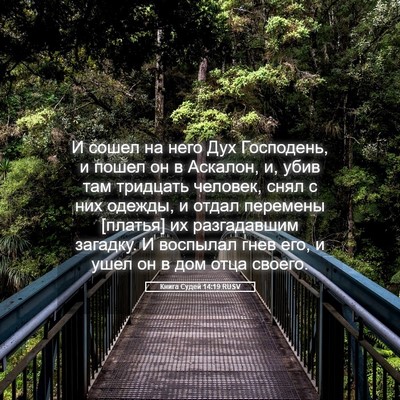 Picture 05 - Книга Судей 14:19 RUSV - И сошел на него Дух - Bible Verse Picture