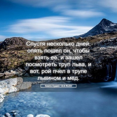 Picture 05 - Книга Судей 14:8 RUSV - Спустя несколько дней, - Bible Verse Picture