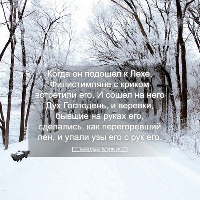 Picture 05 - Книга Судей 15:14 RUSV - Когда он подошел к Лехе, - Bible Verse Picture