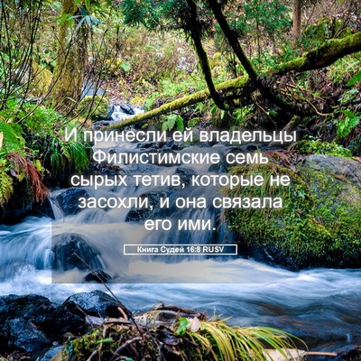 Picture 05 - Книга Судей 16:8 RUSV - И принесли ей владельцы - Bible Verse Picture