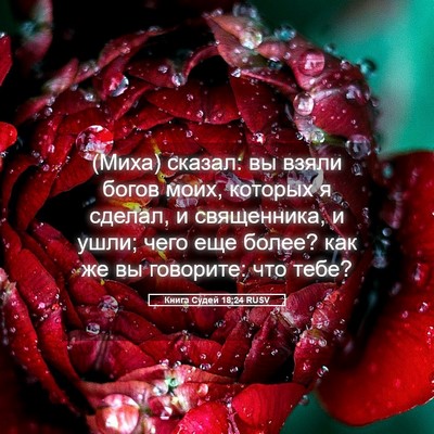 Picture 05 - Книга Судей 18:24 RUSV - (Миха) сказал: вы взяли - Bible Verse Picture