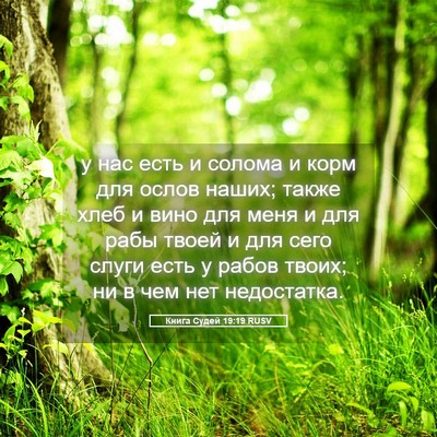 Picture 05 - Книга Судей 19:19 RUSV - у нас есть и солома и корм - Bible Verse Picture