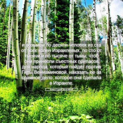 Picture 05 - Книга Судей 20:10 RUSV - и возьмем по десяти - Bible Verse Picture
