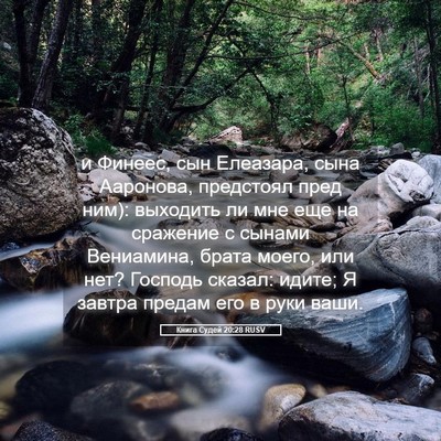 Picture 05 - Книга Судей 20:28 RUSV - и Финеес, сын Елеазара, - Bible Verse Picture
