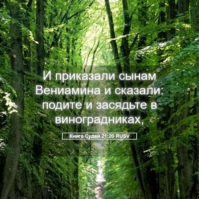 Picture 05 - Книга Судей 21:20 RUSV - И приказали сынам - Bible Verse Picture