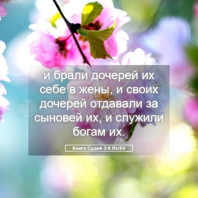 Picture 05 - Книга Судей 3:6 RUSV - и брали дочерей их себе в - Bible Verse Picture