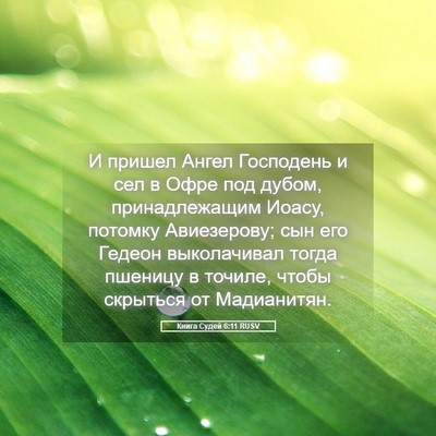 Picture 05 - Книга Судей 6:11 RUSV - И пришел Ангел Господень и - Bible Verse Picture