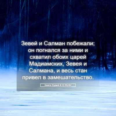 Picture 05 - Книга Судей 8:12 RUSV - Зевей и Салман побежали; он - Bible Verse Picture