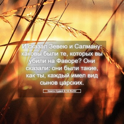 Picture 05 - Книга Судей 8:18 RUSV - И сказал Зевею и Салману: - Bible Verse Picture