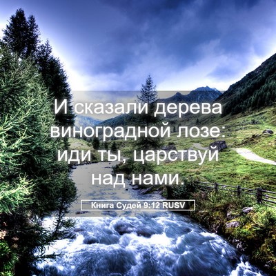 Picture 05 - Книга Судей 9:12 RUSV - И сказали дерева - Bible Verse Picture