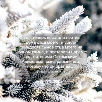 Picture 05 - Книга Судей 9:18 RUSV - а вы теперь восстали - Bible Verse Picture
