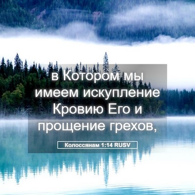 Picture 05 - Колоссянам 1:14 RUSV - в Котором мы имеем - Bible Verse Picture