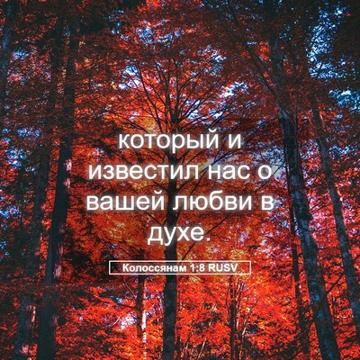 Picture 05 - Колоссянам 1:8 RUSV - который и известил нас о - Bible Verse Picture