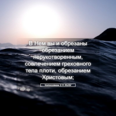 Picture 05 - Колоссянам 2:11 RUSV - В Нем вы и обрезаны - Bible Verse Picture