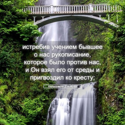 Picture 05 - Колоссянам 2:14 RUSV - истребив учением бывшее о - Bible Verse Picture