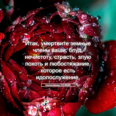 Picture 05 - Колоссянам 3:5 RUSV - Итак, умертвите земные - Bible Verse Picture