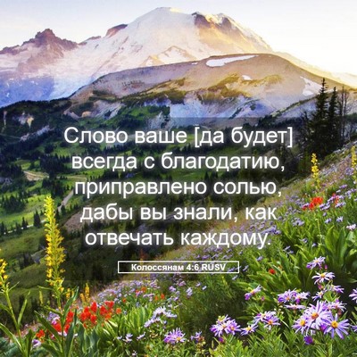 Picture 05 - Колоссянам 4:6 RUSV - Слово ваше [да будет] - Bible Verse Picture