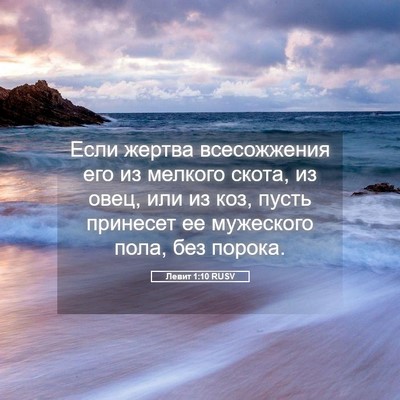Picture 05 - Левит 1:10 RUSV - Если жертва всесожжения - Bible Verse Picture