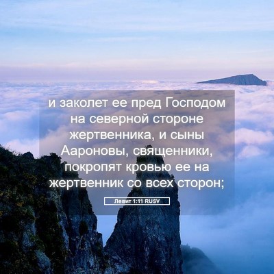 Picture 05 - Левит 1:11 RUSV - и заколет ее пред Господом - Bible Verse Picture