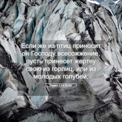 Picture 05 - Левит 1:14 RUSV - Если же из птиц приносит он - Bible Verse Picture
