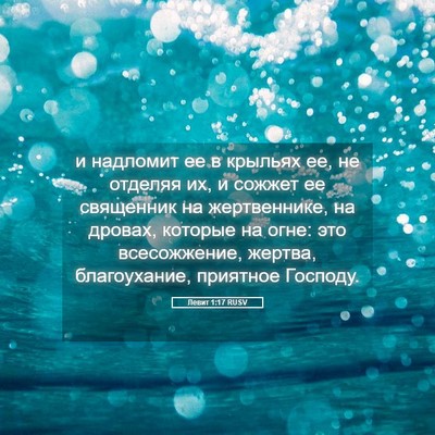 Picture 05 - Левит 1:17 RUSV - и надломит ее в крыльях ее, - Bible Verse Picture