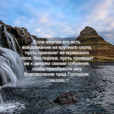 Picture 05 - Левит 1:3 RUSV - Если жертва его есть - Bible Verse Picture
