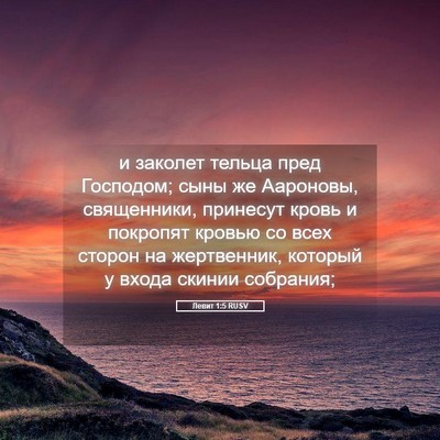 Picture 05 - Левит 1:5 RUSV - и заколет тельца пред - Bible Verse Picture