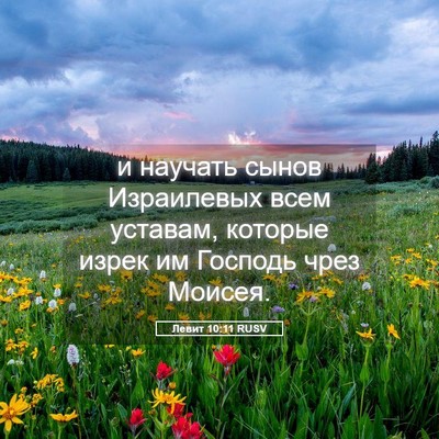 Picture 05 - Левит 10:11 RUSV - и научать сынов Израилевых - Bible Verse Picture