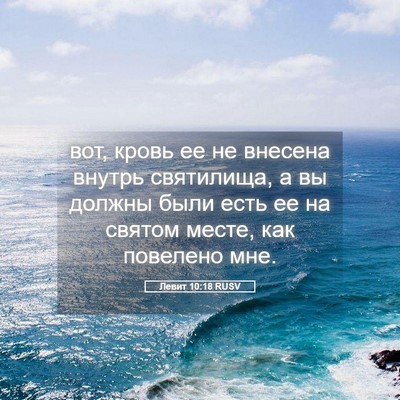 Picture 05 - Левит 10:18 RUSV - вот, кровь ее не внесена - Bible Verse Picture