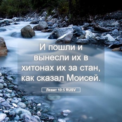 Picture 05 - Левит 10:5 RUSV - И пошли и вынесли их в - Bible Verse Picture