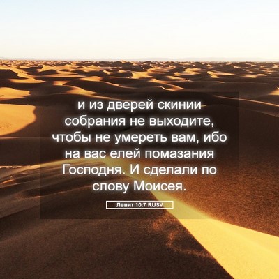 Picture 05 - Левит 10:7 RUSV - и из дверей скинии - Bible Verse Picture
