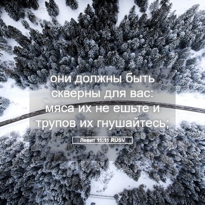 Picture 05 - Левит 11:11 RUSV - они должны быть скверны - Bible Verse Picture
