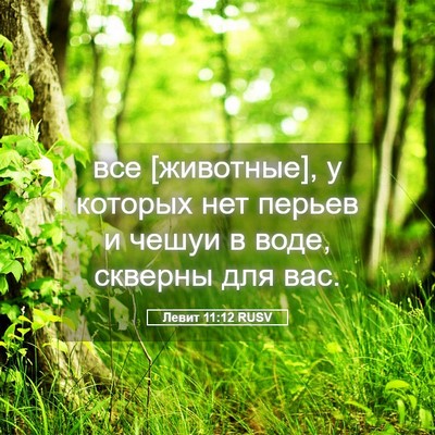 Picture 05 - Левит 11:12 RUSV - все [животные], у которых - Bible Verse Picture