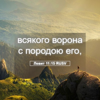 Picture 05 - Левит 11:15 RUSV - всякого ворона с породою - Bible Verse Picture