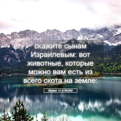 Picture 05 - Левит 11:2 RUSV - скажите сынам Израилевым: - Bible Verse Picture