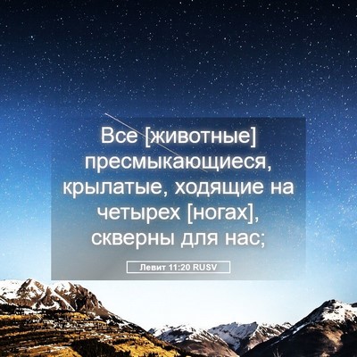 Picture 05 - Левит 11:20 RUSV - Все [животные] - Bible Verse Picture