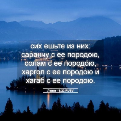 Picture 05 - Левит 11:22 RUSV - сих ешьте из них: саранчу с - Bible Verse Picture