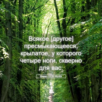 Picture 05 - Левит 11:23 RUSV - Всякое [другое] - Bible Verse Picture