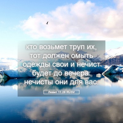 Picture 05 - Левит 11:28 RUSV - кто возьмет труп их, тот - Bible Verse Picture