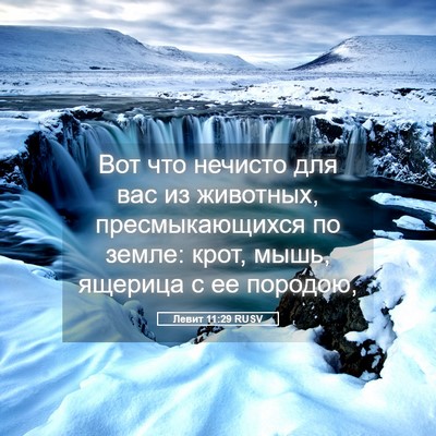 Picture 05 - Левит 11:29 RUSV - Вот что нечисто для вас из - Bible Verse Picture