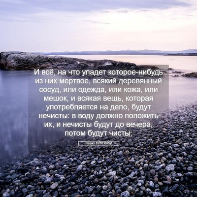 Picture 05 - Левит 11:32 RUSV - И всё, на что упадет - Bible Verse Picture