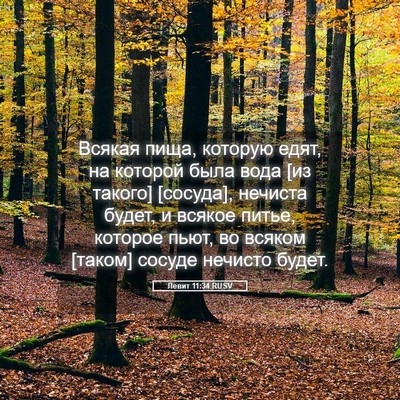 Picture 05 - Левит 11:34 RUSV - Всякая пища, которую едят, - Bible Verse Picture