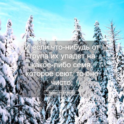 Picture 05 - Левит 11:37 RUSV - И если что-нибудь от трупа - Bible Verse Picture