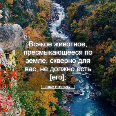 Picture 05 - Левит 11:41 RUSV - Всякое животное, - Bible Verse Picture